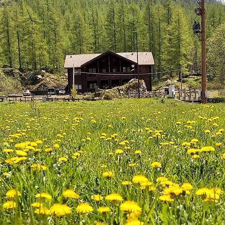 Chalet Rosa Dei Monti Piamprato Εξωτερικό φωτογραφία