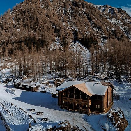 Chalet Rosa Dei Monti Piamprato Εξωτερικό φωτογραφία