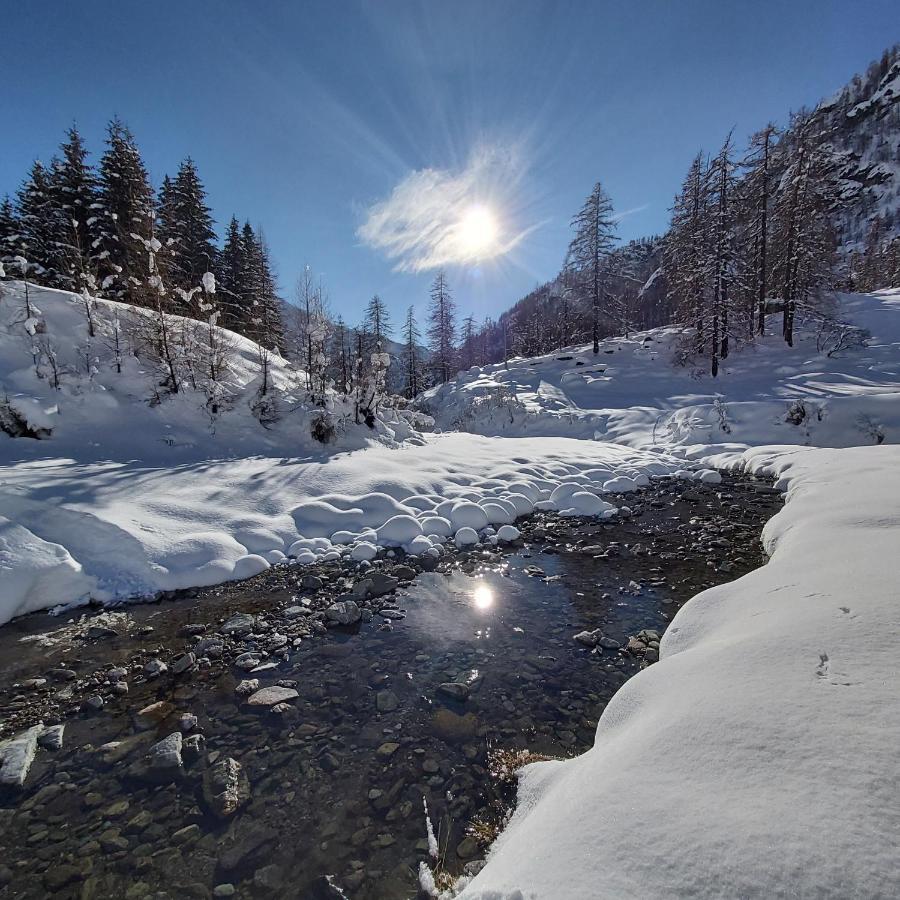 Chalet Rosa Dei Monti Piamprato Εξωτερικό φωτογραφία