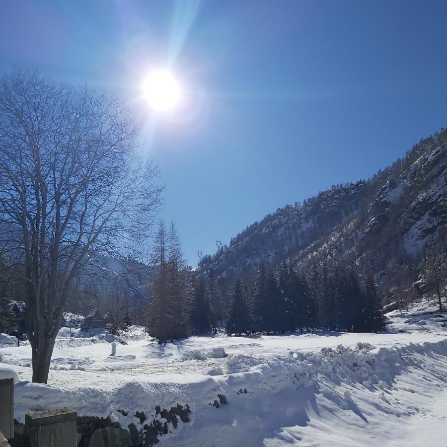 Chalet Rosa Dei Monti Piamprato Εξωτερικό φωτογραφία