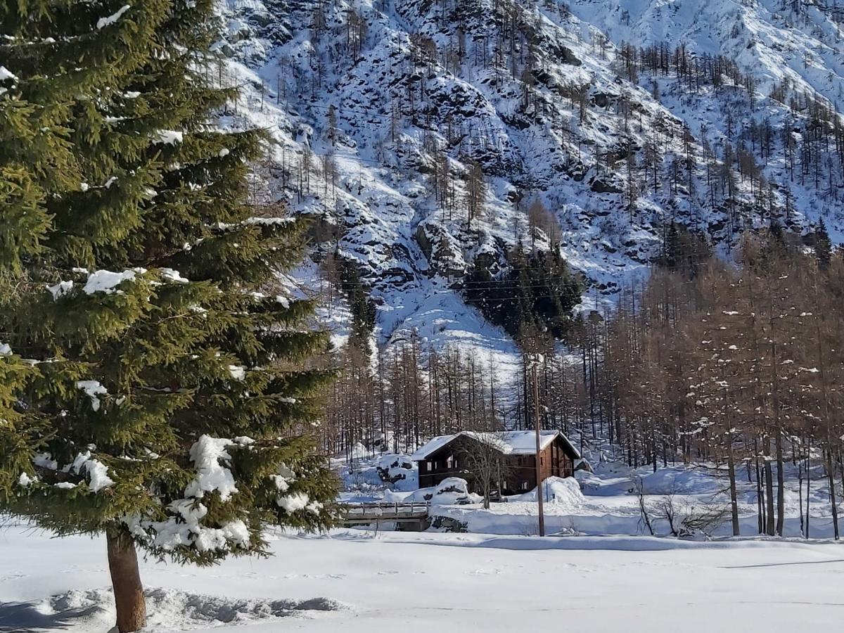Chalet Rosa Dei Monti Piamprato Εξωτερικό φωτογραφία