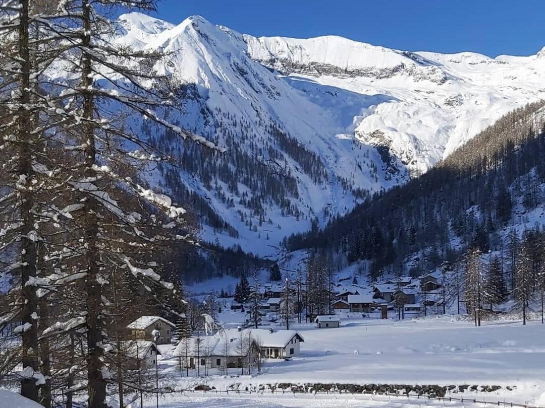 Chalet Rosa Dei Monti Piamprato Εξωτερικό φωτογραφία