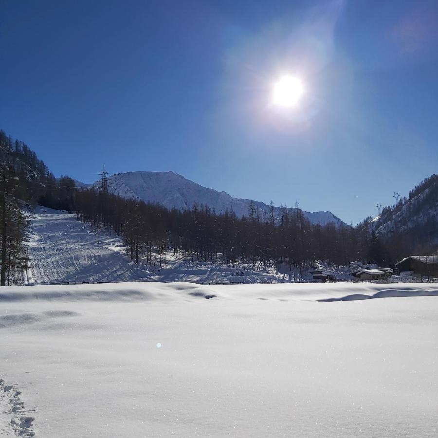 Chalet Rosa Dei Monti Piamprato Εξωτερικό φωτογραφία