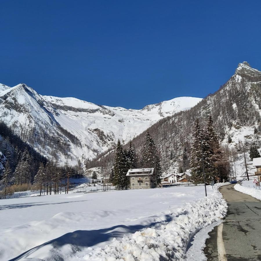 Chalet Rosa Dei Monti Piamprato Εξωτερικό φωτογραφία