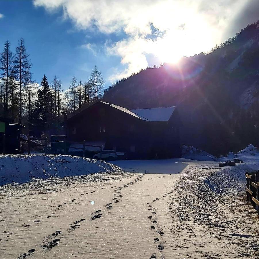 Chalet Rosa Dei Monti Piamprato Εξωτερικό φωτογραφία
