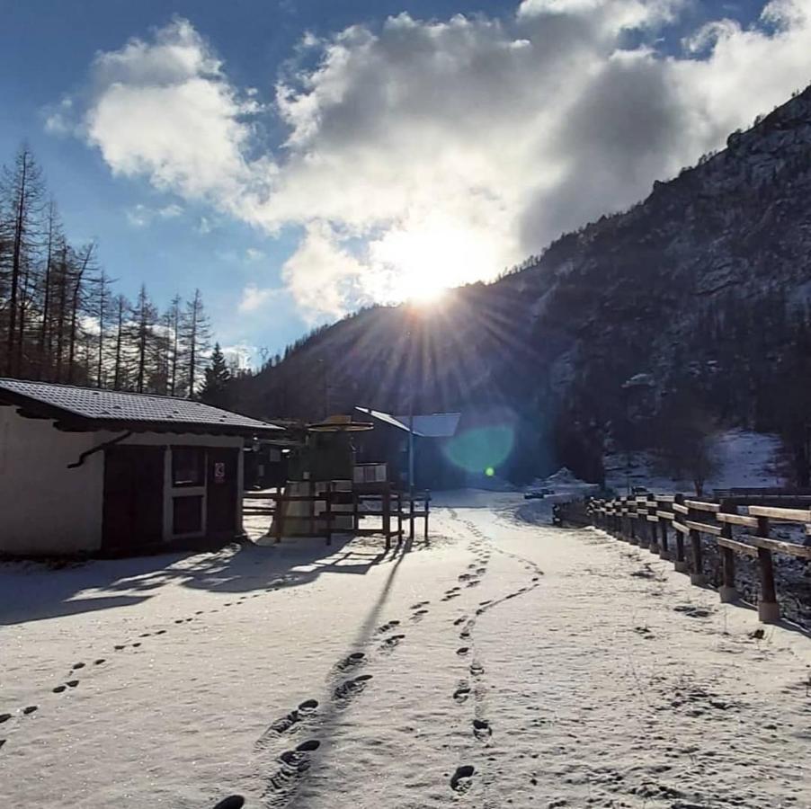 Chalet Rosa Dei Monti Piamprato Εξωτερικό φωτογραφία