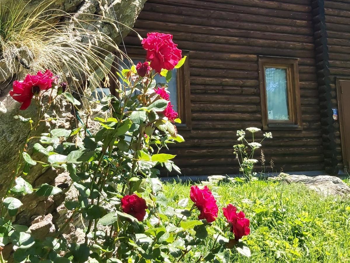 Chalet Rosa Dei Monti Piamprato Εξωτερικό φωτογραφία
