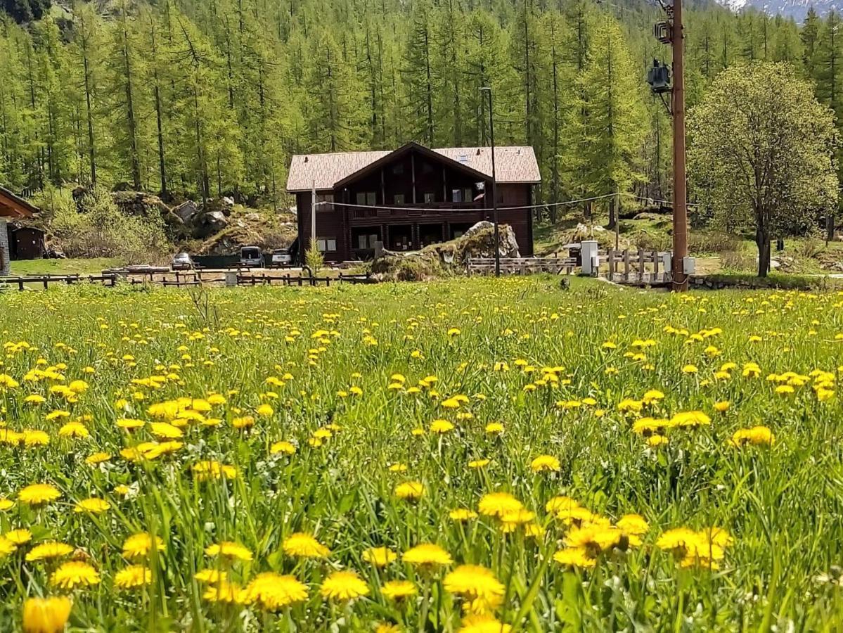 Chalet Rosa Dei Monti Piamprato Εξωτερικό φωτογραφία