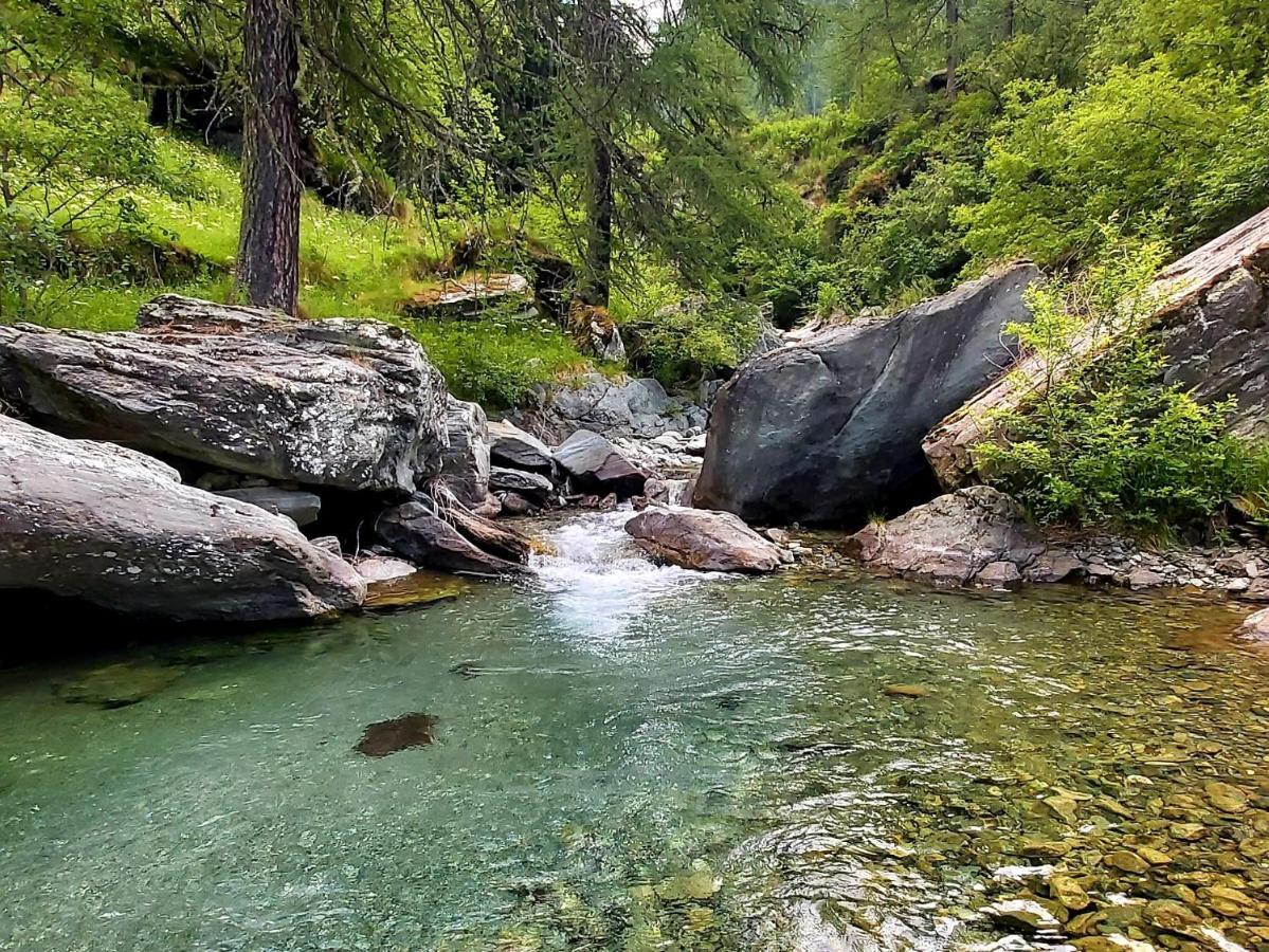 Chalet Rosa Dei Monti Piamprato Εξωτερικό φωτογραφία