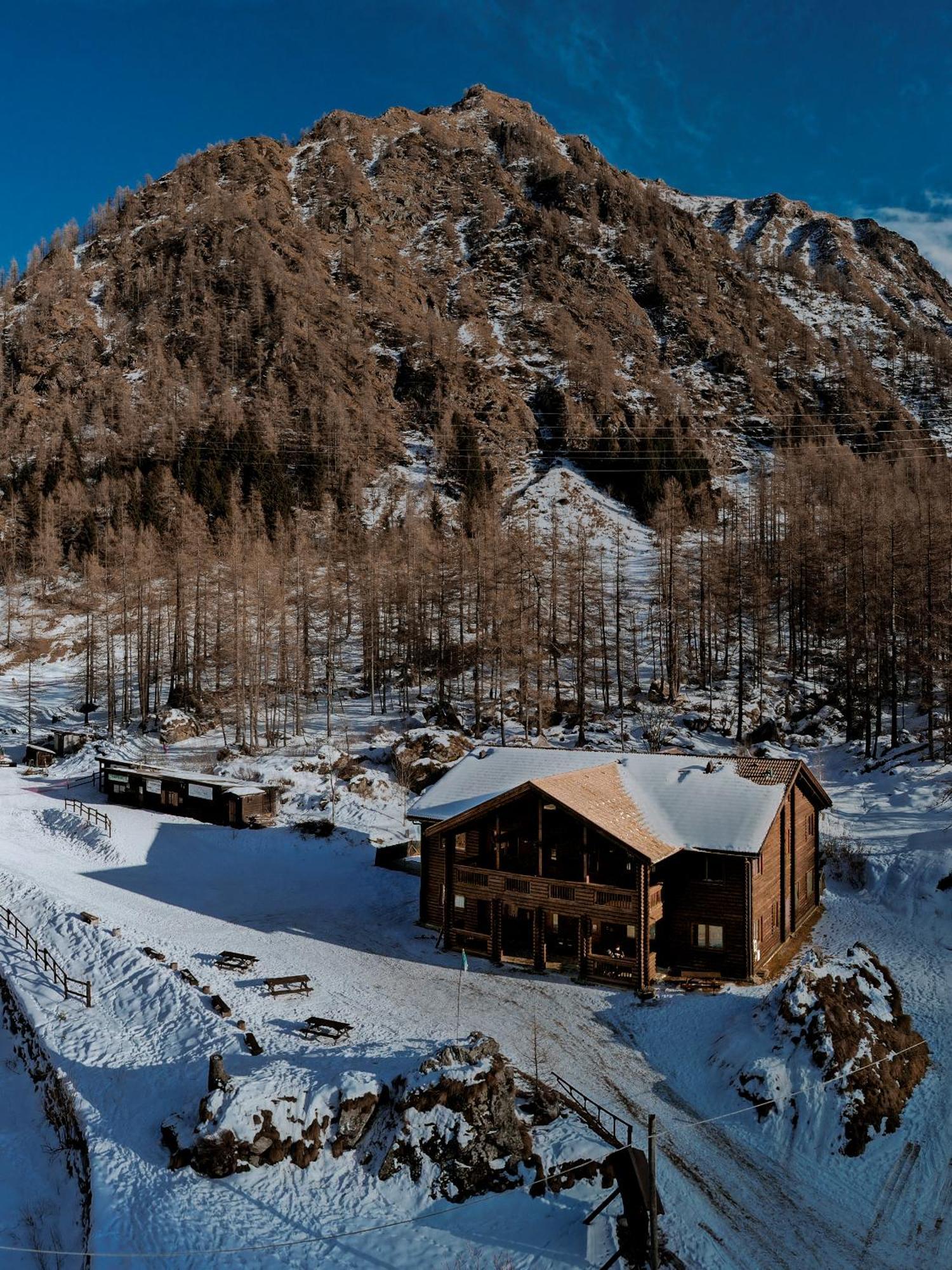 Chalet Rosa Dei Monti Piamprato Εξωτερικό φωτογραφία