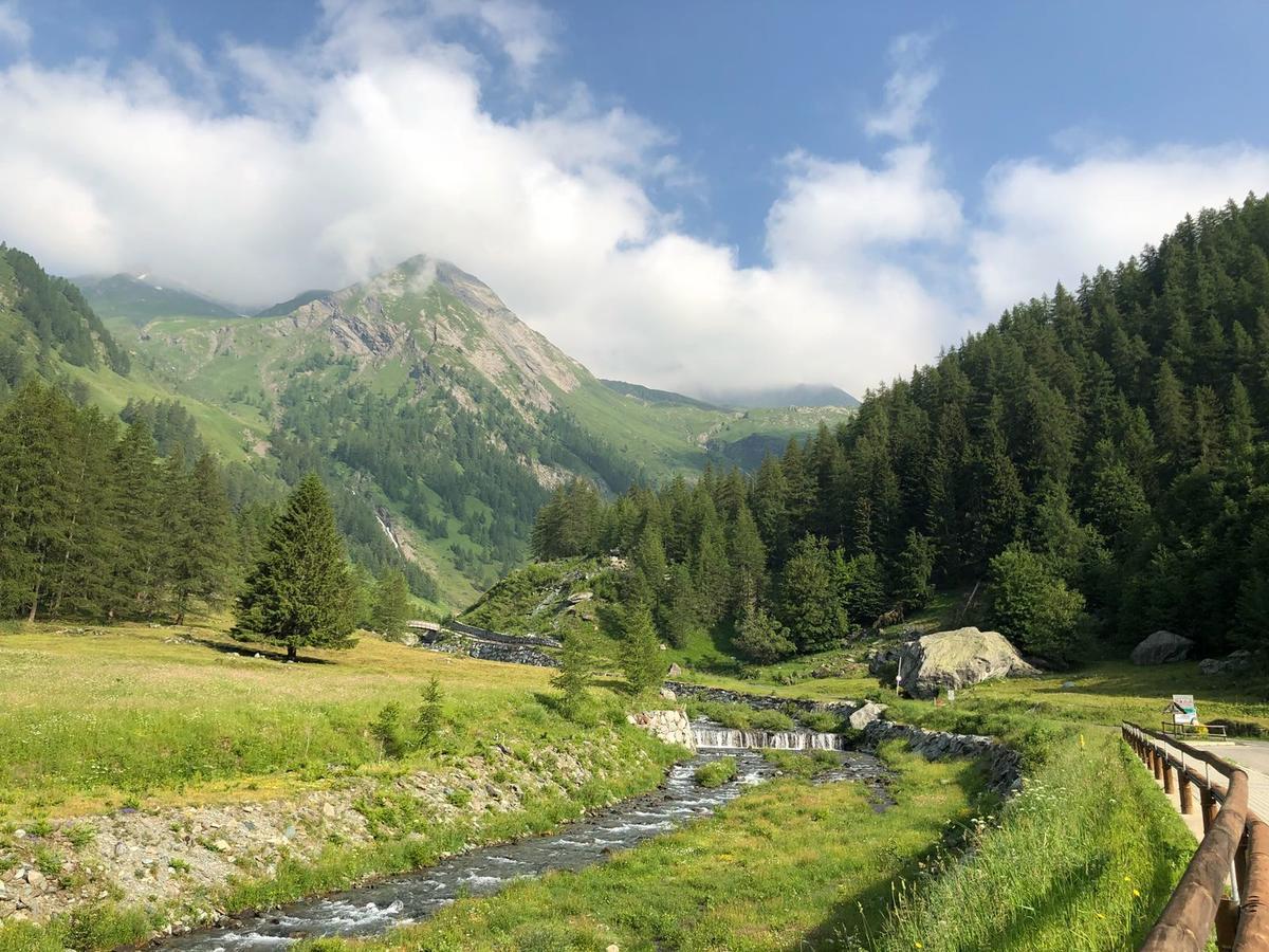 Chalet Rosa Dei Monti Piamprato Εξωτερικό φωτογραφία
