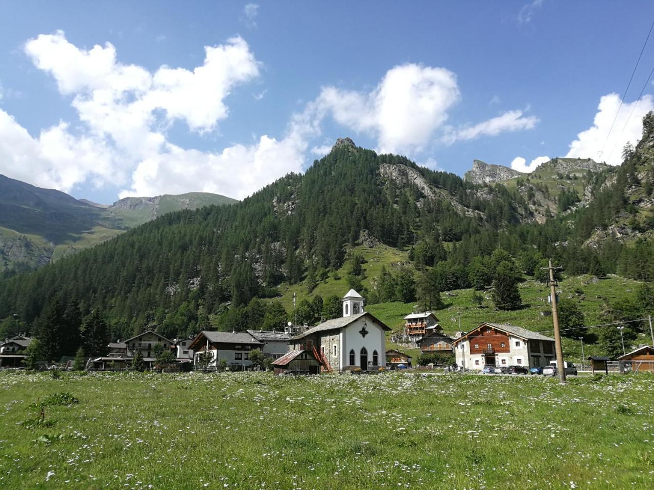 Chalet Rosa Dei Monti Piamprato Εξωτερικό φωτογραφία