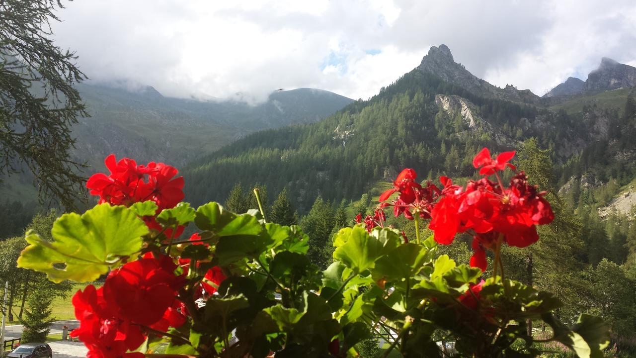 Chalet Rosa Dei Monti Piamprato Εξωτερικό φωτογραφία