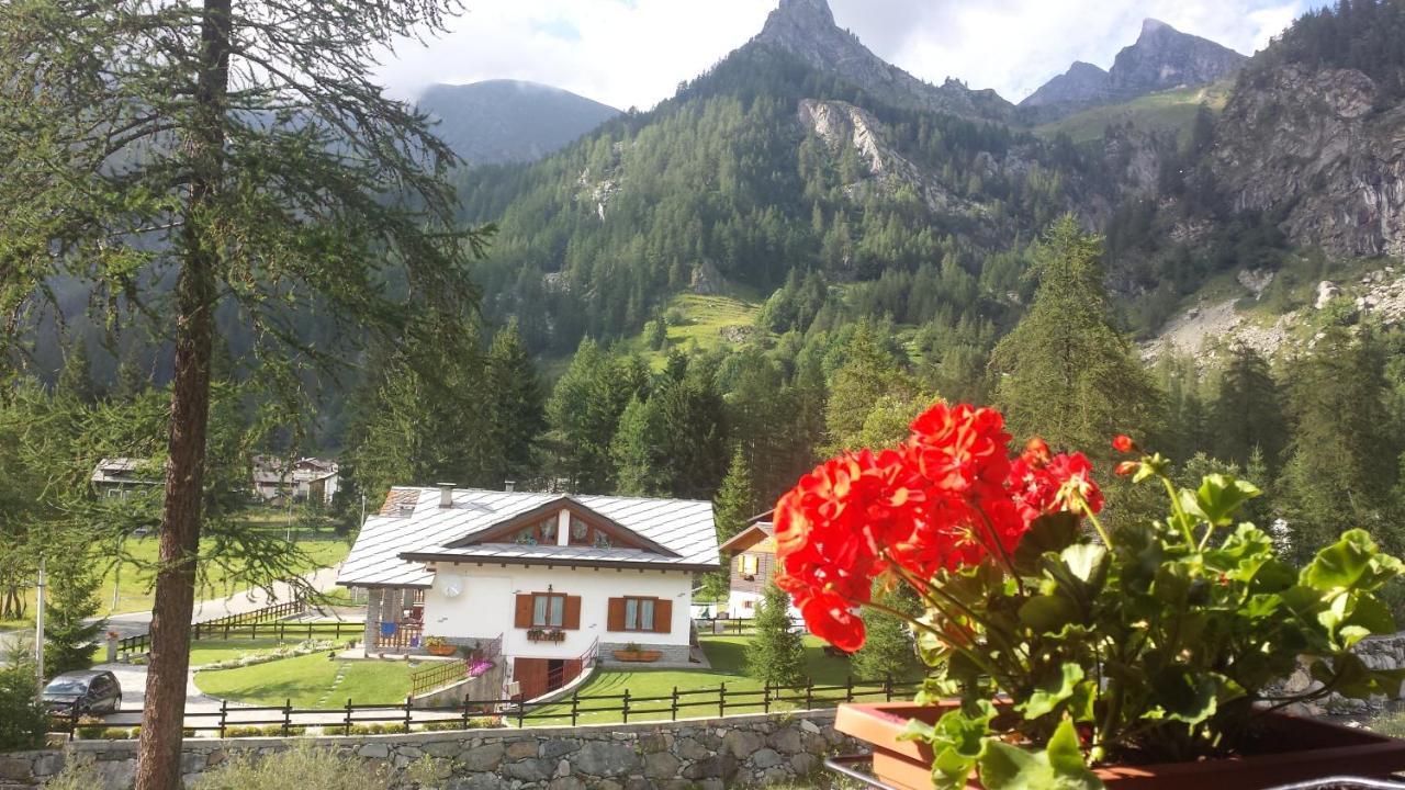 Chalet Rosa Dei Monti Piamprato Εξωτερικό φωτογραφία