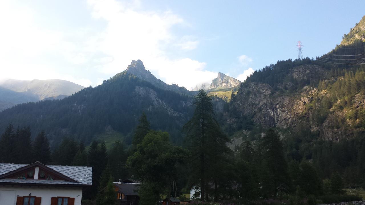 Chalet Rosa Dei Monti Piamprato Εξωτερικό φωτογραφία