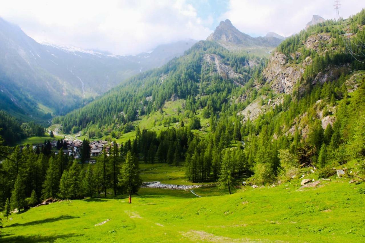 Chalet Rosa Dei Monti Piamprato Εξωτερικό φωτογραφία