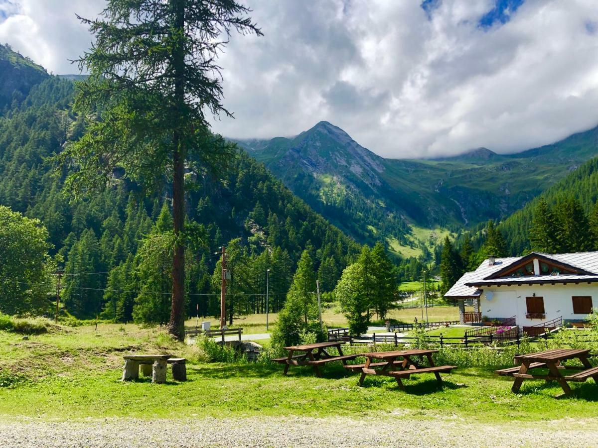 Chalet Rosa Dei Monti Piamprato Εξωτερικό φωτογραφία