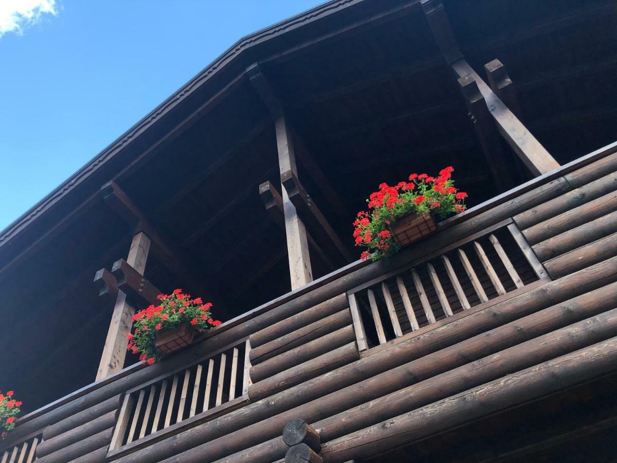 Chalet Rosa Dei Monti Piamprato Εξωτερικό φωτογραφία